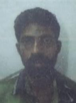 Rajan N