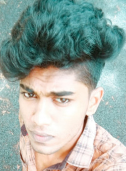 Ansil K A